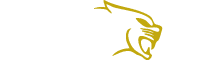 Baterias Zetta